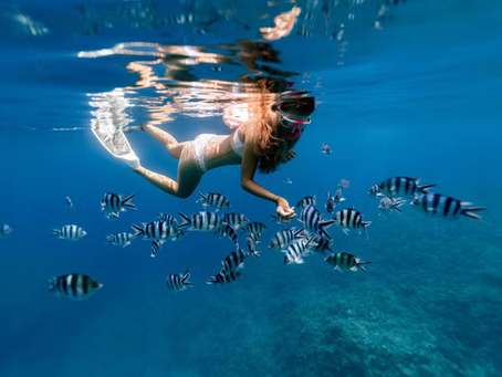 Protecting Our Oceans: How Reef Safe Australia Aligns with NOAA Sunscreen Guidelines