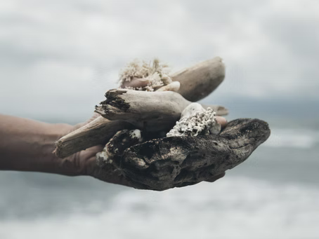 Protecting Our Reefs: The Benefits of Mineral Sunscreen and the Impact of Chemical Sunscreens